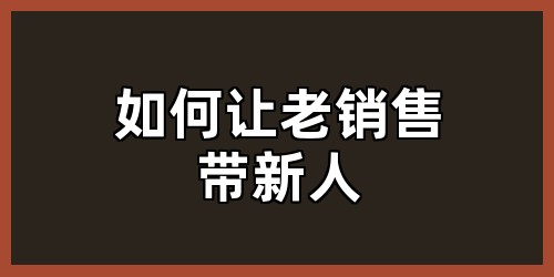 如何让老销售带新人
