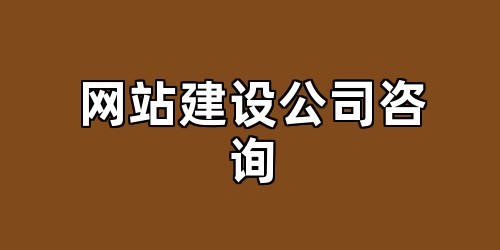 网站建设公司咨询